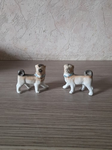 Belle paire chien - paire, carlins