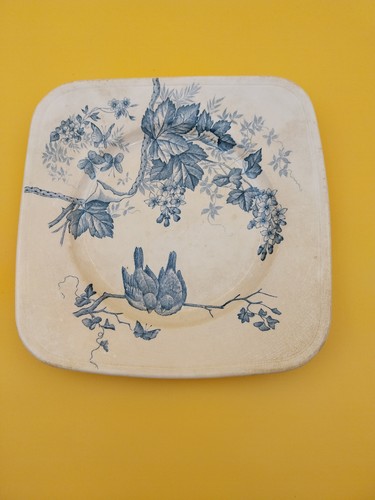 Assiette carrée oiseaux