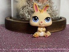 🌸 petshop dwarf rabbit