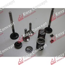 SOUPAPES BRIGGS & STRATTON 8HP