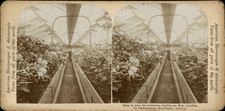 England, London, Kew Garden