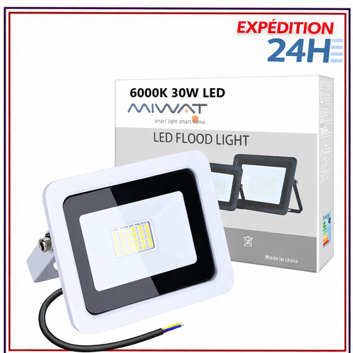 Projecteur led 30w extérieur - projecteur,