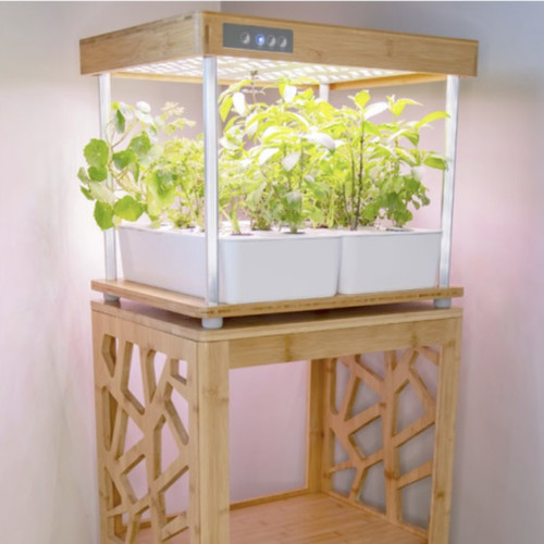 Potager hydroponique - , 16