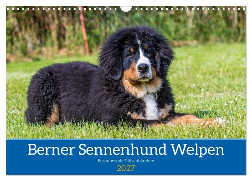 Calendrier 2027 french - calendrier,