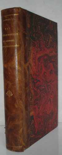 Vie privee des animaux - privee,