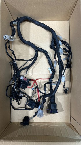 Faisceau électrique principal