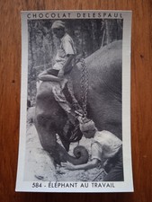 Chocolat Delespaul Vignette n° 584 - Eléphants au travail