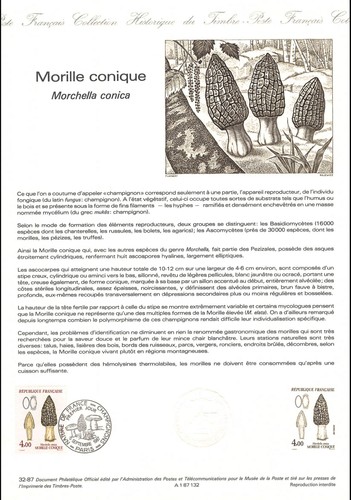 Document officiel 1987 - 1987,