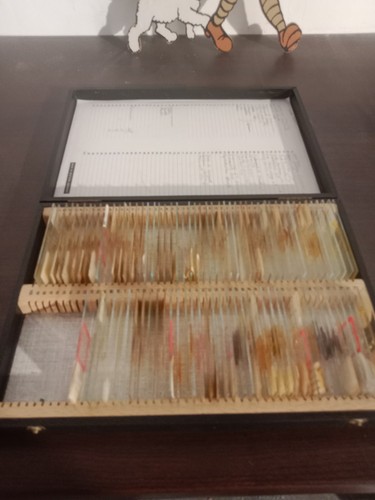 Instrument scientifique - ,