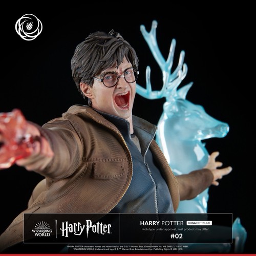 Tsume ikigai harry potter - harry,