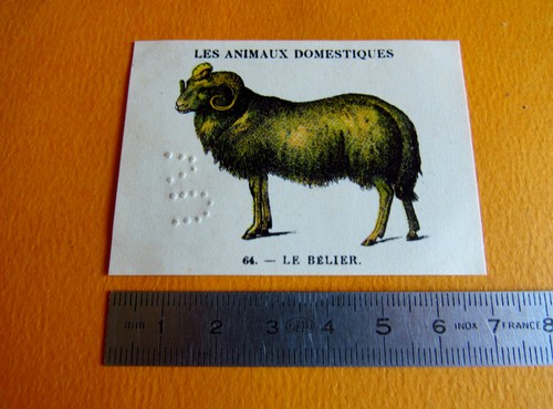 Chromo 1939 casino les animaux - casino,