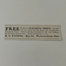 Catalpa Trees H. C. Rogers Mechanicsburg OH 1908 Magazine Ad SAH1-S8