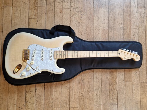 Fender stratocaster richie - fender,