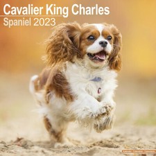 Calendrier 2023 - CAVALIER