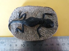 Moulage de lézard Matériel