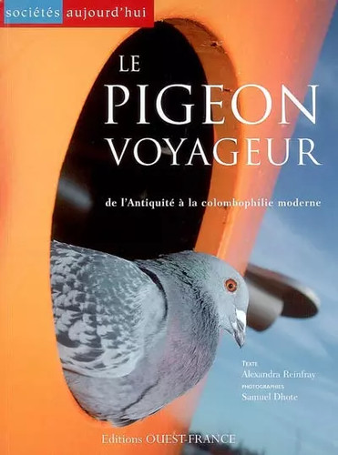 Pigeon voyageur de - :,