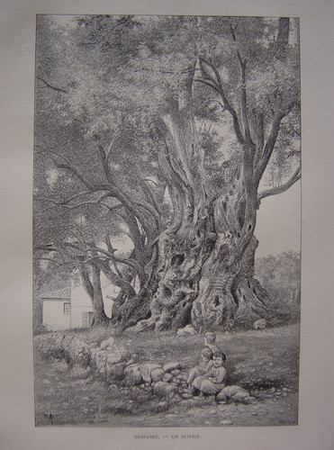 Gravure beaulieu - gravure,