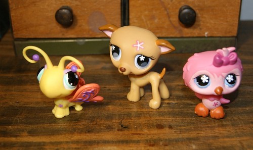 Petshop trio papillon - trio,