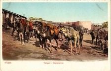 Old postcard AK MOROCCO Tangier Caravan (1318435)
