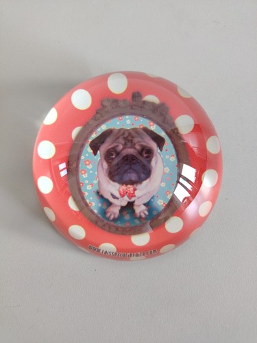 Presse papier verre bouledogue - papier,