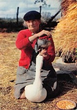 CPM in Gascony la gaveuse d'oie (280438)