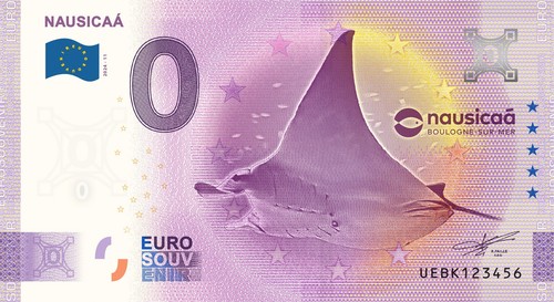 Billet souvenir 2025 france - souvenir,