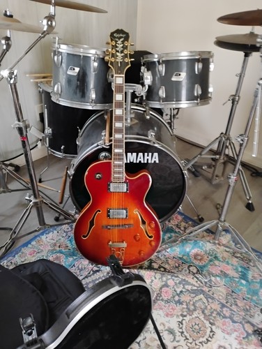 Vintage 1980s epiphone - 1980s,