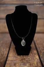 Berger des Shetland -