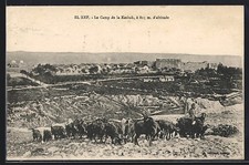 CPA El Kef, Le Camp de la