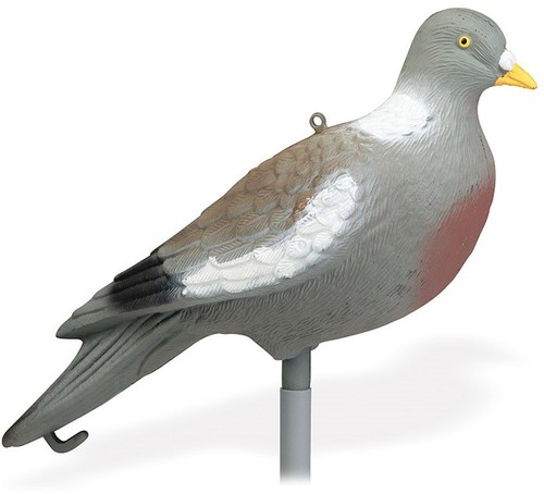 Pack appelants pigeon posé - pack,