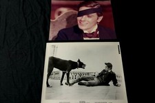 alain delon LE GUEPARD visconti photos press cinema 