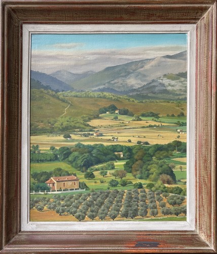 Landscape mountain trees - landscape, field