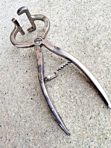 Ancienne pince castration - de,