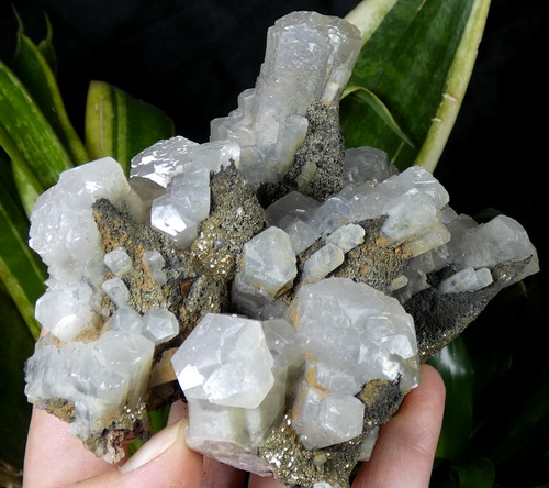 Superbe calcite pyrite - calcite, el