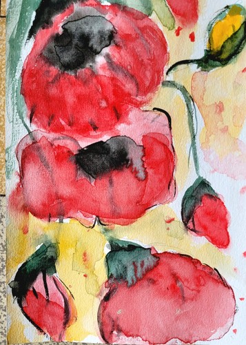 Aquarelle aux coquelicots