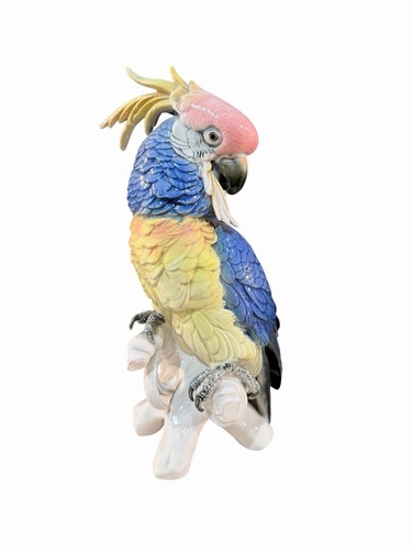 Grand cacatoès porcelaine - cacatoès, en