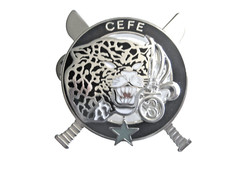 LEGION ETRANGERE 3° REI