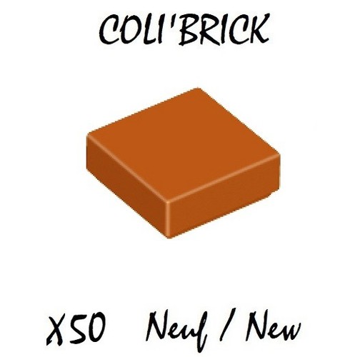 Lego 3070b 50x plaque - 3070b,