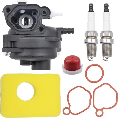 Carburateur pour briggs - carburateur, &