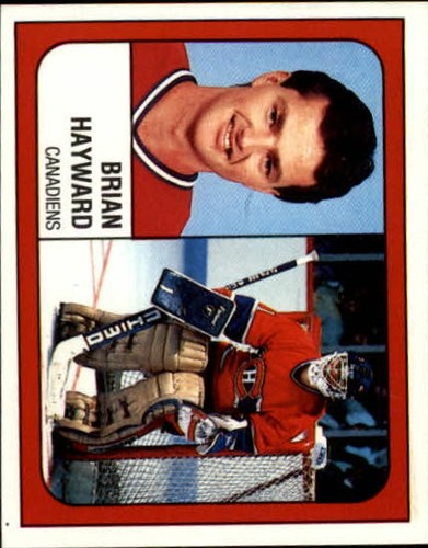 B3941 1988 panini cartes - b3941-, 1988-89