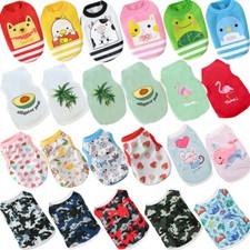 Divers Animaux De Compagnie