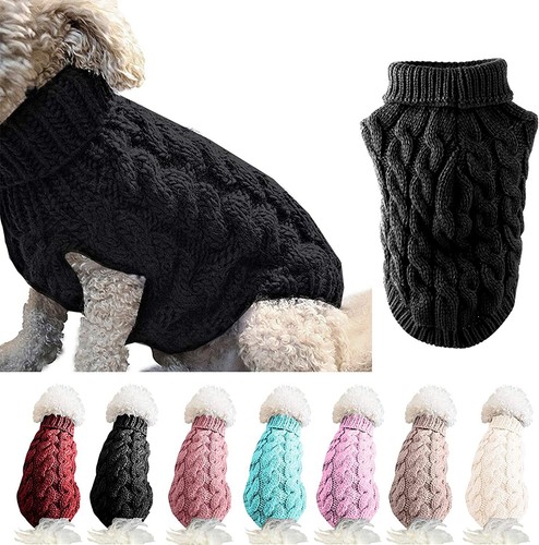 Chaud chien chat pull