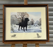 Beautiful 1980’s Framed Print Titled Black Labrador By Nigel Hemming
