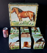 Rare Jeu de Cubes Geant à Soufflets Superbe Etat Complet 1910-1920 Germany