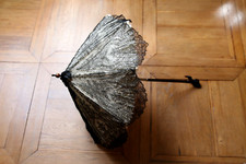 Vera Tischenko Collection Folding Sleeve Lace Whipped Silk Umbrella 19th Century