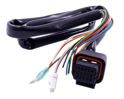 Harnais pour speedometer koso - harnais,