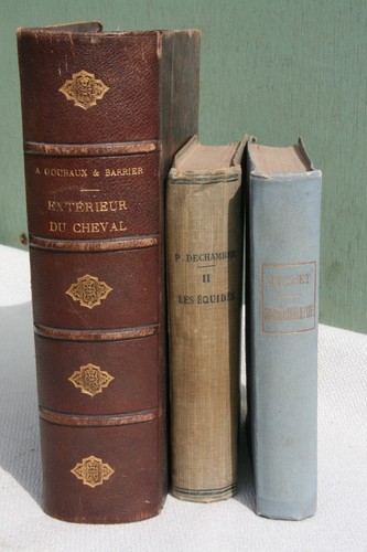 Lot livres anciens sur - lot, 3