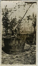 ANTIQUE PHOTO - VINTAGE SNAPSHOT - CHIEN FUN GAG BASIN GAME - DOG FUNNY