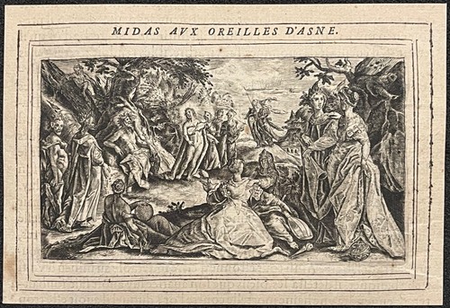 Midas aux oreilles âne - midas,