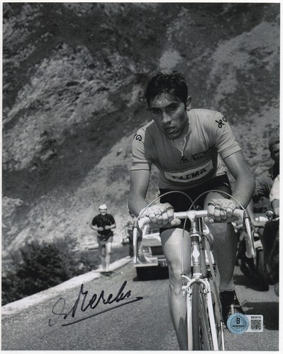 Eddy merckx autographed signed - eddy,